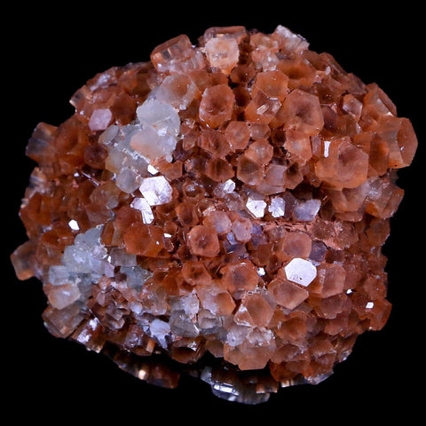 2.4" Aragonite Mineral Two Tone Crystal Cluster Specimen Tazouta Morocco - Fossil Age Minerals