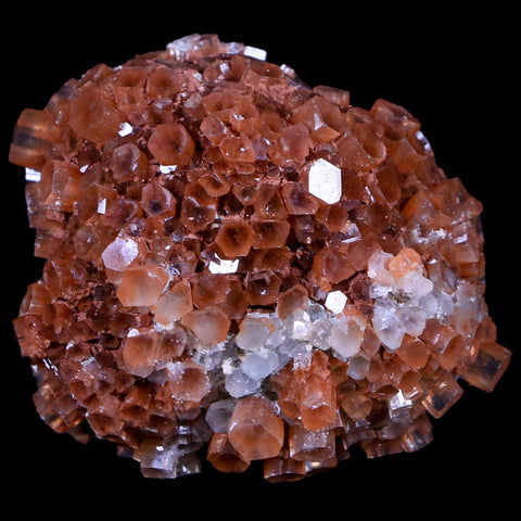 2.4" Aragonite Mineral Two Tone Crystal Cluster Specimen Tazouta Morocco - Fossil Age Minerals