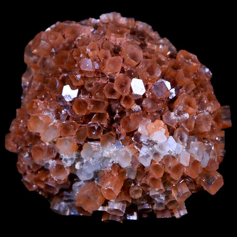 2.4" Aragonite Mineral Two Tone Crystal Cluster Specimen Tazouta Morocco - Fossil Age Minerals