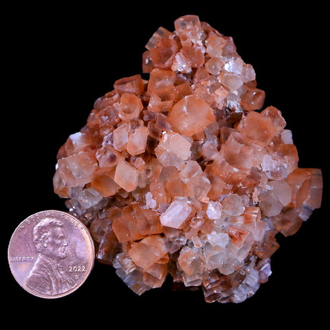 2.4" Aragonite Mineral Two Tone Crystal Cluster Specimen Tazouta Morocco - Fossil Age Minerals