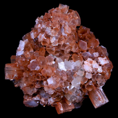 2.4" Aragonite Mineral Two Tone Crystal Cluster Specimen Tazouta Morocco - Fossil Age Minerals