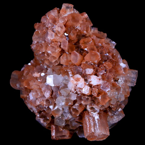 2.4" Aragonite Mineral Two Tone Crystal Cluster Specimen Tazouta Morocco - Fossil Age Minerals