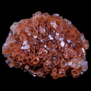 2.7" Aragonite Mineral Two Tone Crystal Cluster Specimen Tazouta Morocco