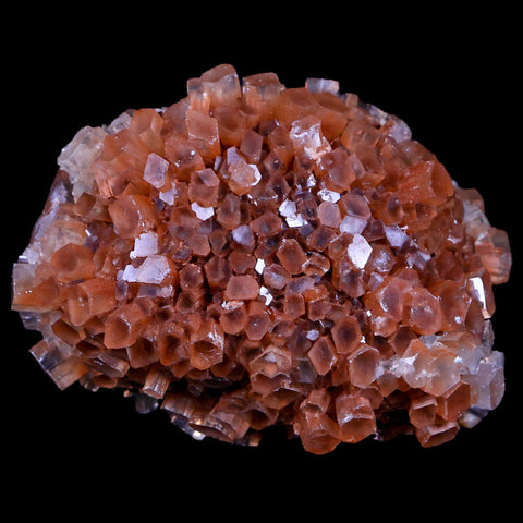 2.7" Aragonite Mineral Two Tone Crystal Cluster Specimen Tazouta Morocco - Fossil Age Minerals