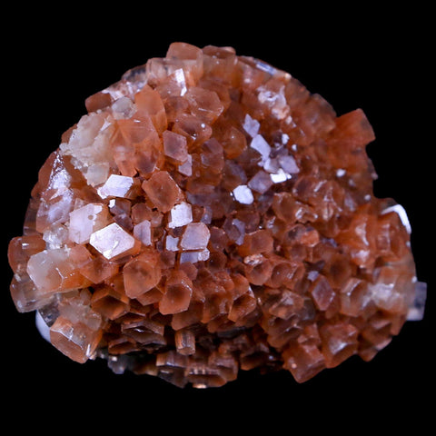 2.7" Aragonite Mineral Two Tone Crystal Cluster Specimen Tazouta Morocco - Fossil Age Minerals