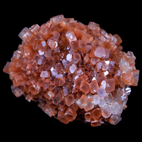 2.7" Aragonite Mineral Two Tone Crystal Cluster Specimen Tazouta Morocco - Fossil Age Minerals