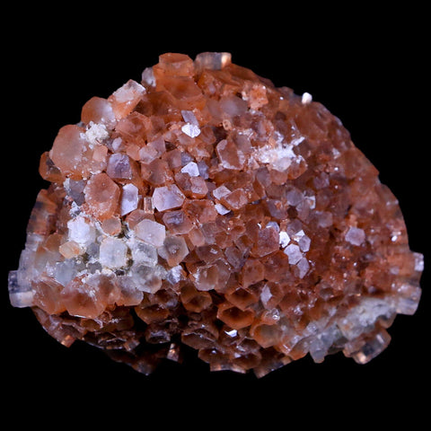 2.7" Aragonite Mineral Two Tone Crystal Cluster Specimen Tazouta Morocco - Fossil Age Minerals