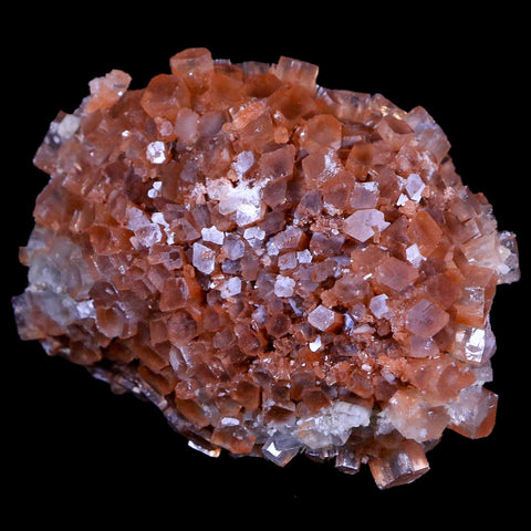 2.7" Aragonite Mineral Two Tone Crystal Cluster Specimen Tazouta Morocco - Fossil Age Minerals