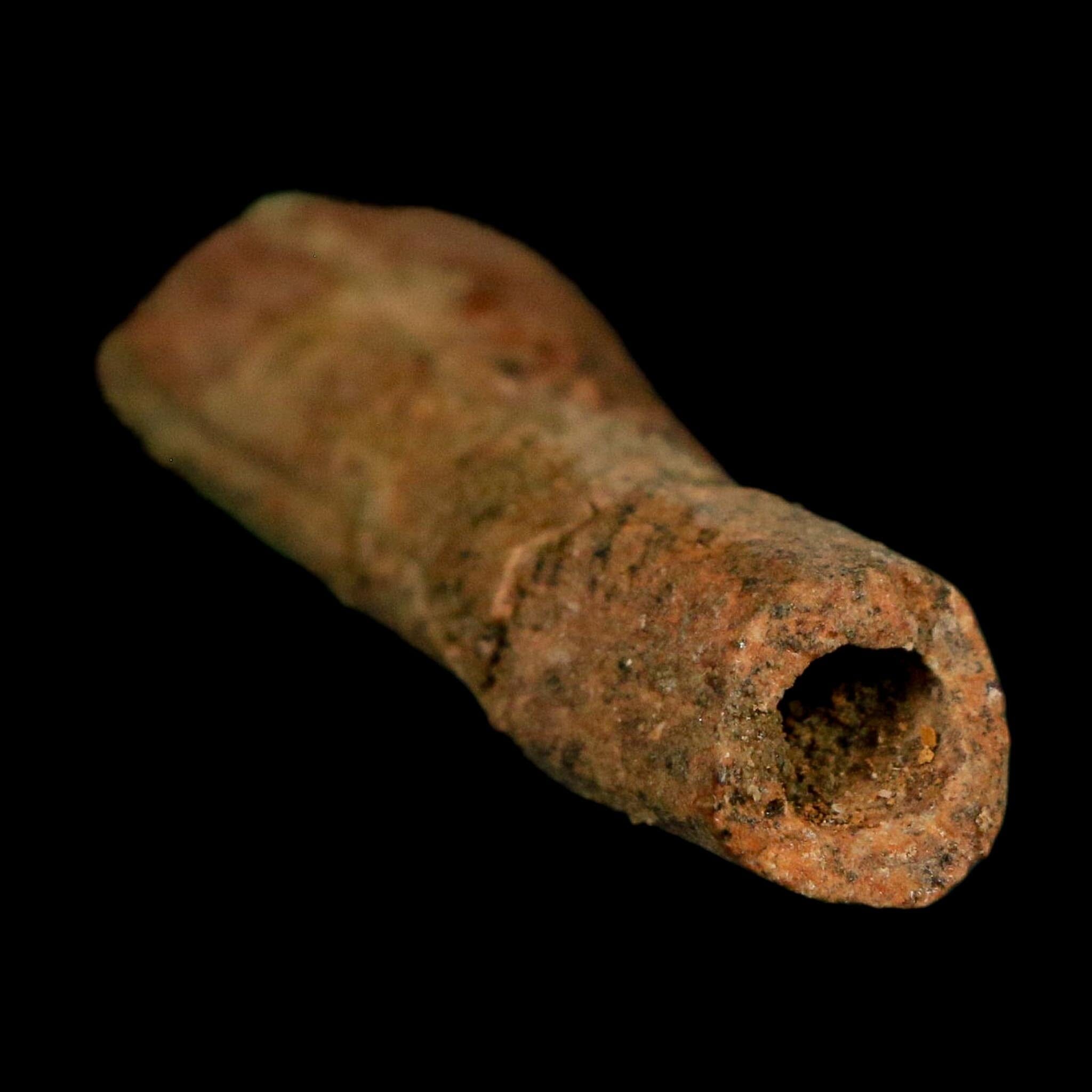 1.8" Raptor Fossil Ulna Bone Cretaceous Dinosaur Judith River FM Montana COA, Display - Fossil Age Minerals