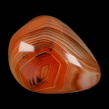 1.7" Natural Polished Red Silk Banded Agate Chalcedony Mineral Specimen