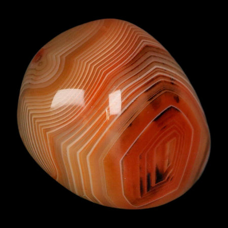 1.7" Natural Polished Red Silk Banded Agate Chalcedony Mineral Specimen