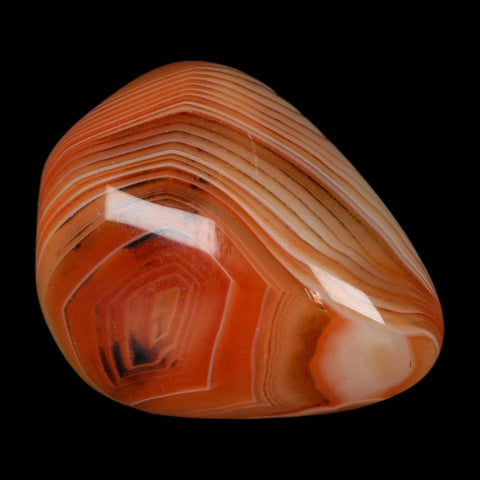 1.7" Natural Polished Red Silk Banded Agate Chalcedony Mineral Specimen - Fossil Age Minerals