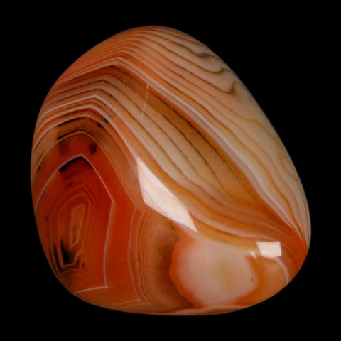 1.7" Natural Polished Red Silk Banded Agate Chalcedony Mineral Specimen - Fossil Age Minerals