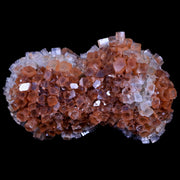 3.2" Aragonite Mineral Two Tone Crystal Cluster Specimen Tazouta Morocco