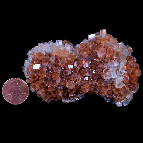 3.2" Aragonite Mineral Two Tone Crystal Cluster Specimen Tazouta Morocco - Fossil Age Minerals