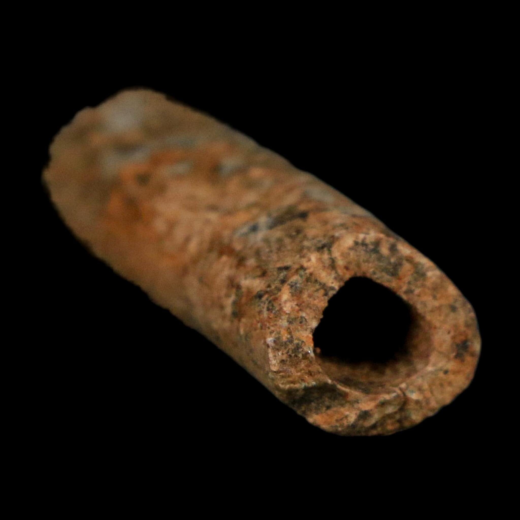 1.1" Raptor Fossil Ulna Bone Cretaceous Dinosaur Judith River FM Montana COA, Display - Fossil Age Minerals