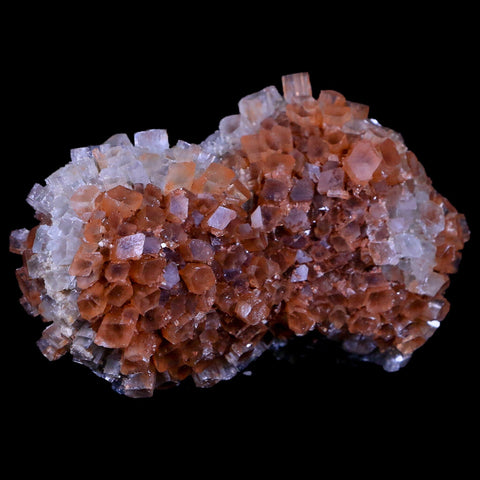 3.2" Aragonite Mineral Two Tone Crystal Cluster Specimen Tazouta Morocco - Fossil Age Minerals