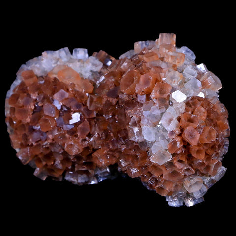 3.2" Aragonite Mineral Two Tone Crystal Cluster Specimen Tazouta Morocco - Fossil Age Minerals