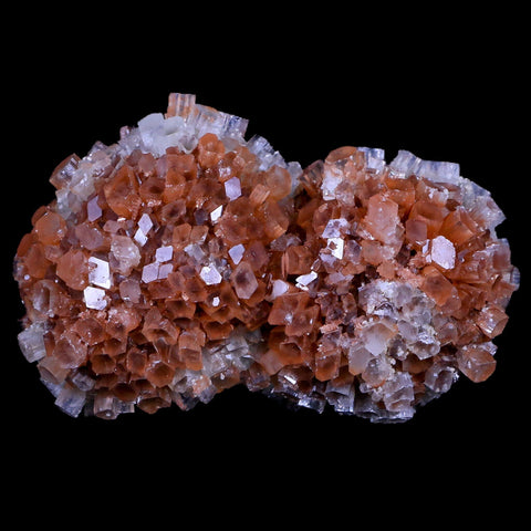 3.2" Aragonite Mineral Two Tone Crystal Cluster Specimen Tazouta Morocco - Fossil Age Minerals