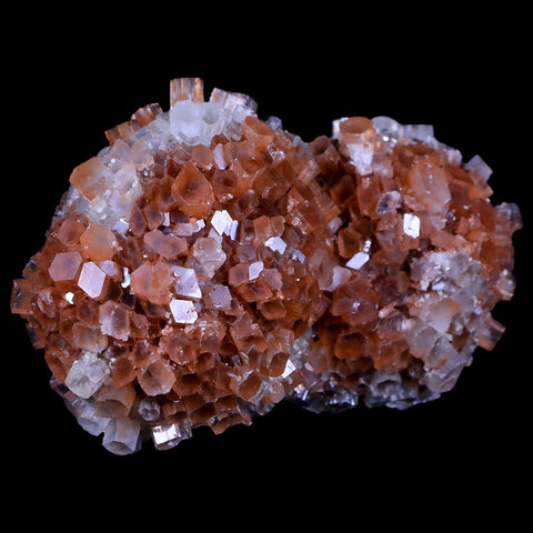 3.2" Aragonite Mineral Two Tone Crystal Cluster Specimen Tazouta Morocco - Fossil Age Minerals