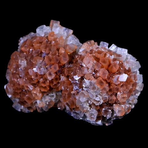 3.2" Aragonite Mineral Two Tone Crystal Cluster Specimen Tazouta Morocco - Fossil Age Minerals