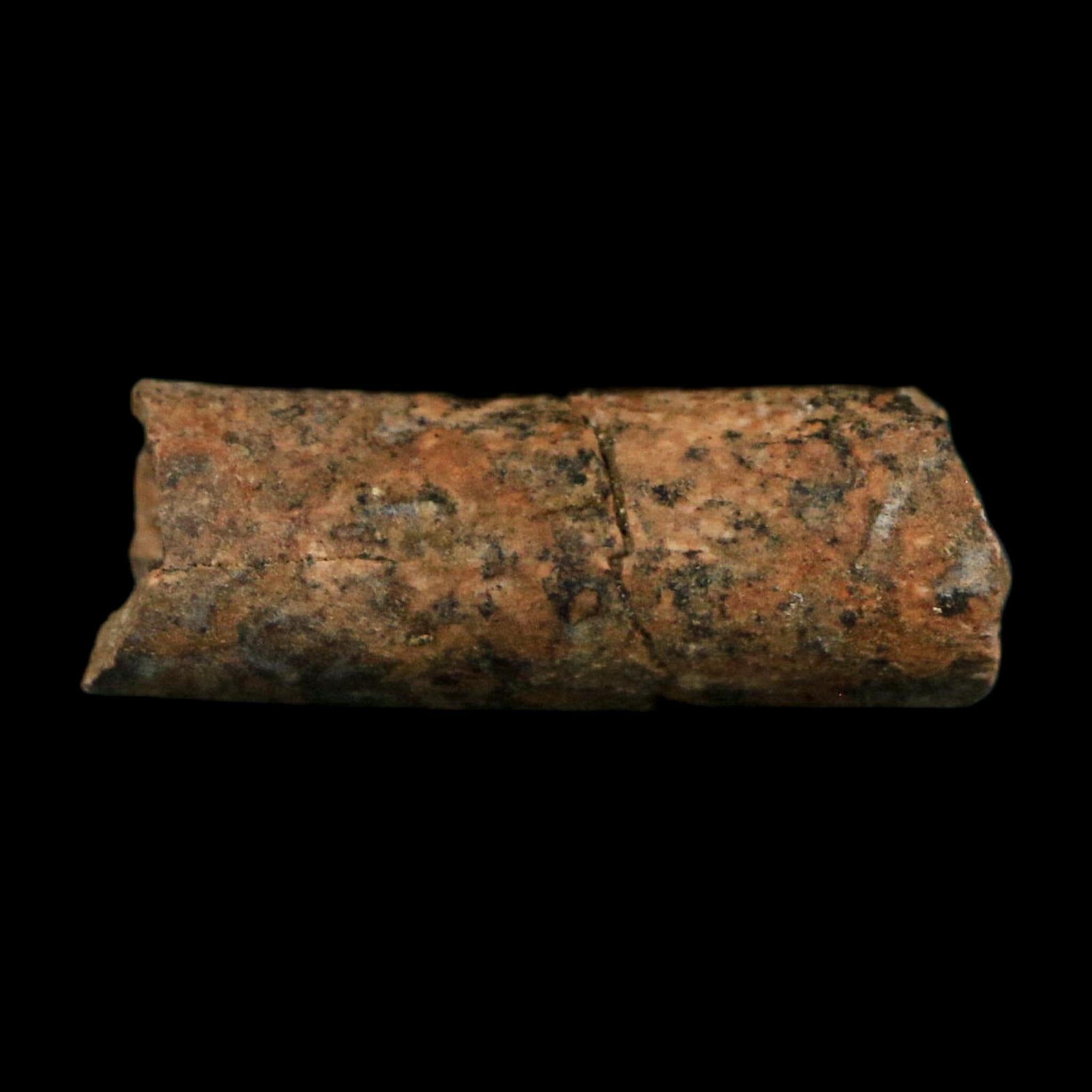 1" Raptor Fossil Ulna Bone Cretaceous Dinosaur Judith River FM Montana COA, Display - Fossil Age Minerals