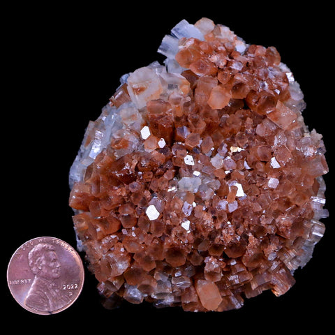 2.8" Aragonite Mineral Two Tone Crystal Cluster Specimen Tazouta Morocco - Fossil Age Minerals