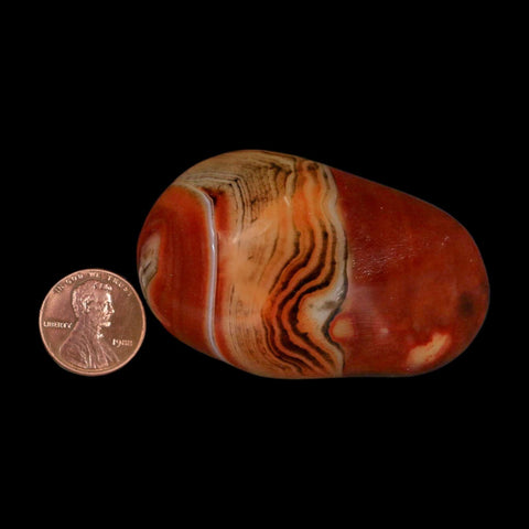2.5" Natural Polished Red Silk Banded Agate Chalcedony Mineral Specimen - Fossil Age Minerals