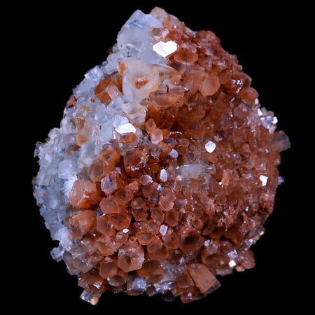 2.8" Aragonite Mineral Two Tone Crystal Cluster Specimen Tazouta Morocco