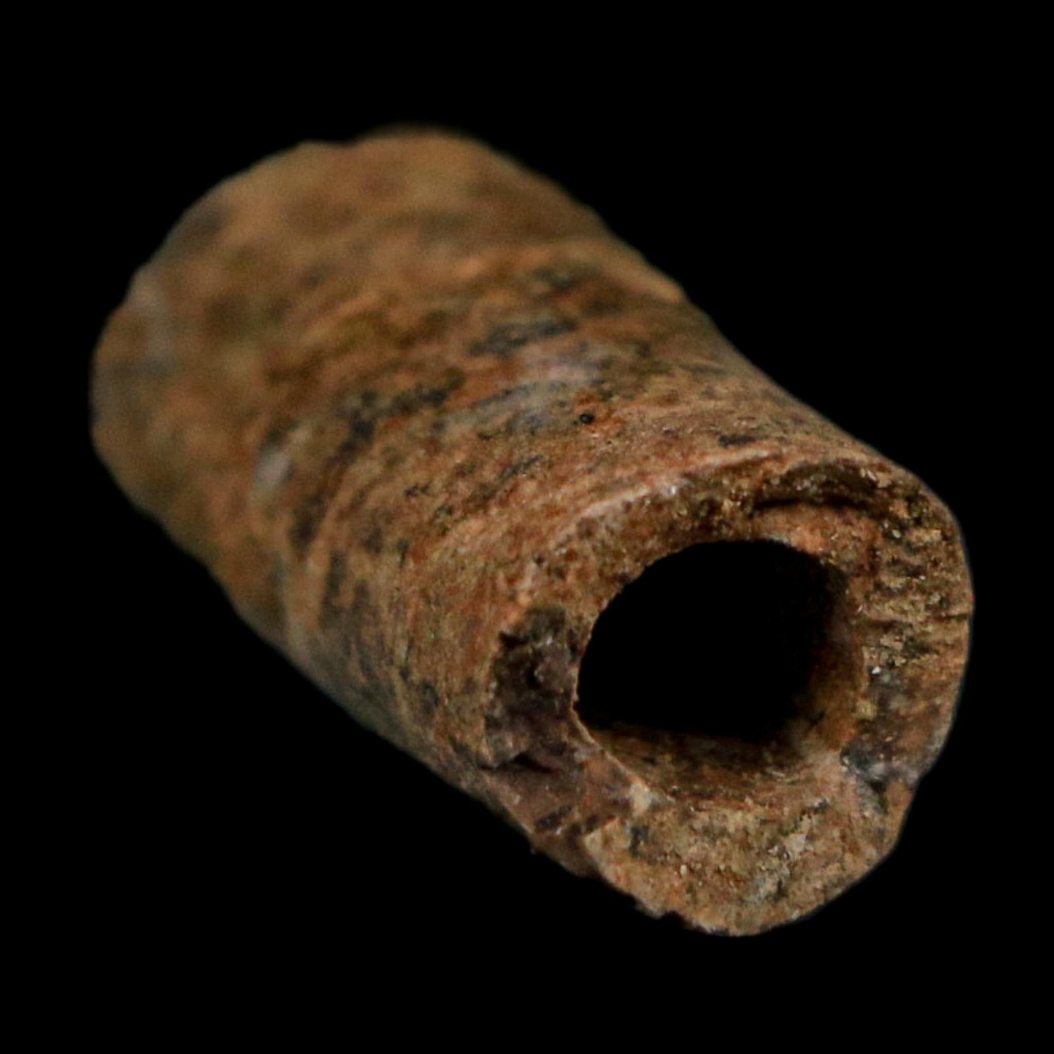 1" Raptor Fossil Ulna Bone Cretaceous Dinosaur Judith River FM Montana COA, Display - Fossil Age Minerals