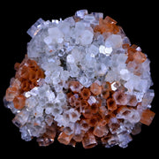 2.8" Aragonite Mineral Two Tone Crystal Cluster Specimen Tazouta Morocco