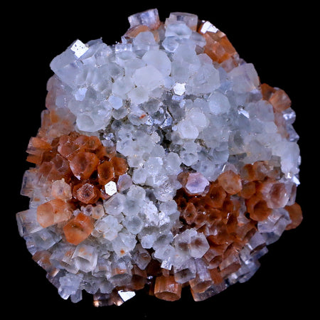 2.8" Aragonite Mineral Two Tone Crystal Cluster Specimen Tazouta Morocco
