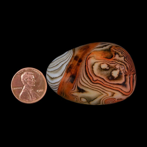 1.8" Natural Polished Red Silk Banded Agate Chalcedony Mineral Specimen - Fossil Age Minerals