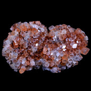 3.1" Aragonite Mineral Two Tone Crystal Cluster Specimen Tazouta Morocco