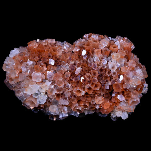 3.1" Aragonite Mineral Two Tone Crystal Cluster Specimen Tazouta Morocco - Fossil Age Minerals