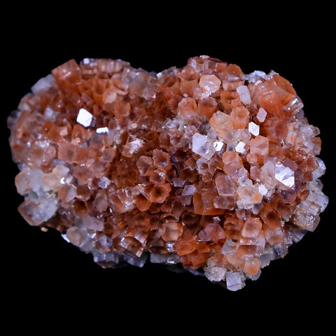 3.1" Aragonite Mineral Two Tone Crystal Cluster Specimen Tazouta Morocco - Fossil Age Minerals