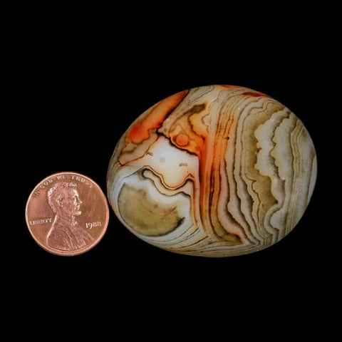 1.9" Natural Polished Red Silk Banded Agate Chalcedony Mineral Specimen - Fossil Age Minerals