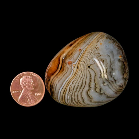 1.8" Natural Polished Red Silk Banded Agate Chalcedony Mineral Specimen - Fossil Age Minerals