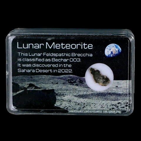 Moon Rock Lunar Meteorite Bechar 003 Algerian Sahara Desert Discovered 2022 - Fossil Age Minerals