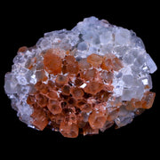 2.4" Aragonite Mineral Two Tone Crystal Cluster Specimen Tazouta Morocco