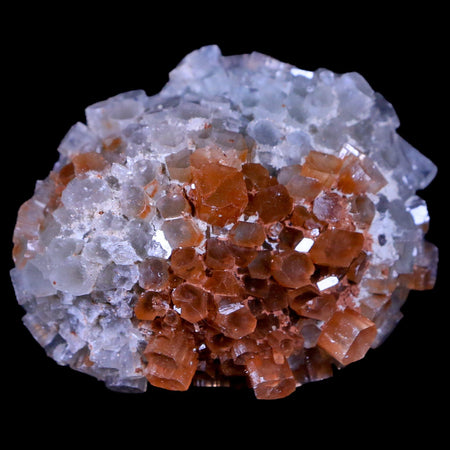 2.4" Aragonite Mineral Two Tone Crystal Cluster Specimen Tazouta Morocco
