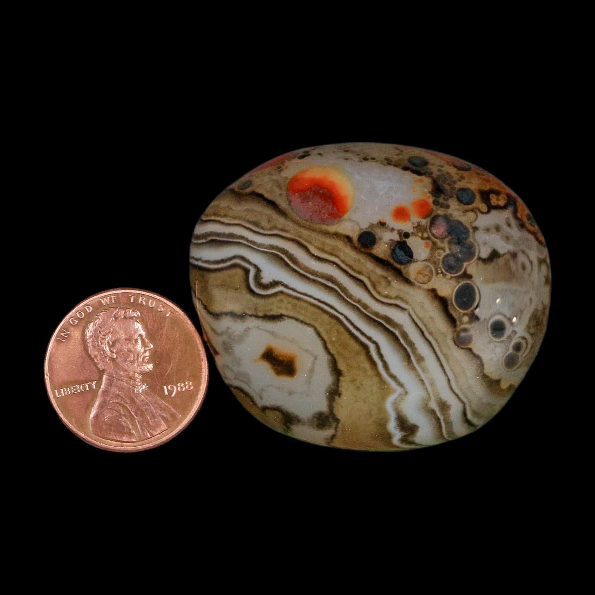 1.6" Natural Polished Red Silk Banded Agate Chalcedony Mineral Specimen - Fossil Age Minerals