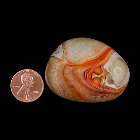 1.9" Natural Polished Red Silk Banded Agate Chalcedony Mineral Specimen - Fossil Age Minerals