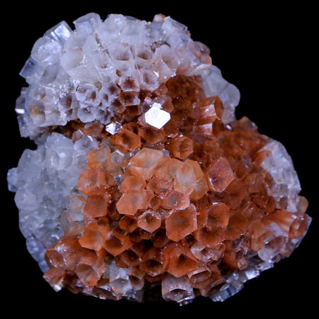 2.2" Aragonite Mineral Two Tone Crystal Cluster Specimen Tazouta Morocco