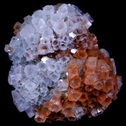 2.2" Aragonite Mineral Two Tone Crystal Cluster Specimen Tazouta Morocco