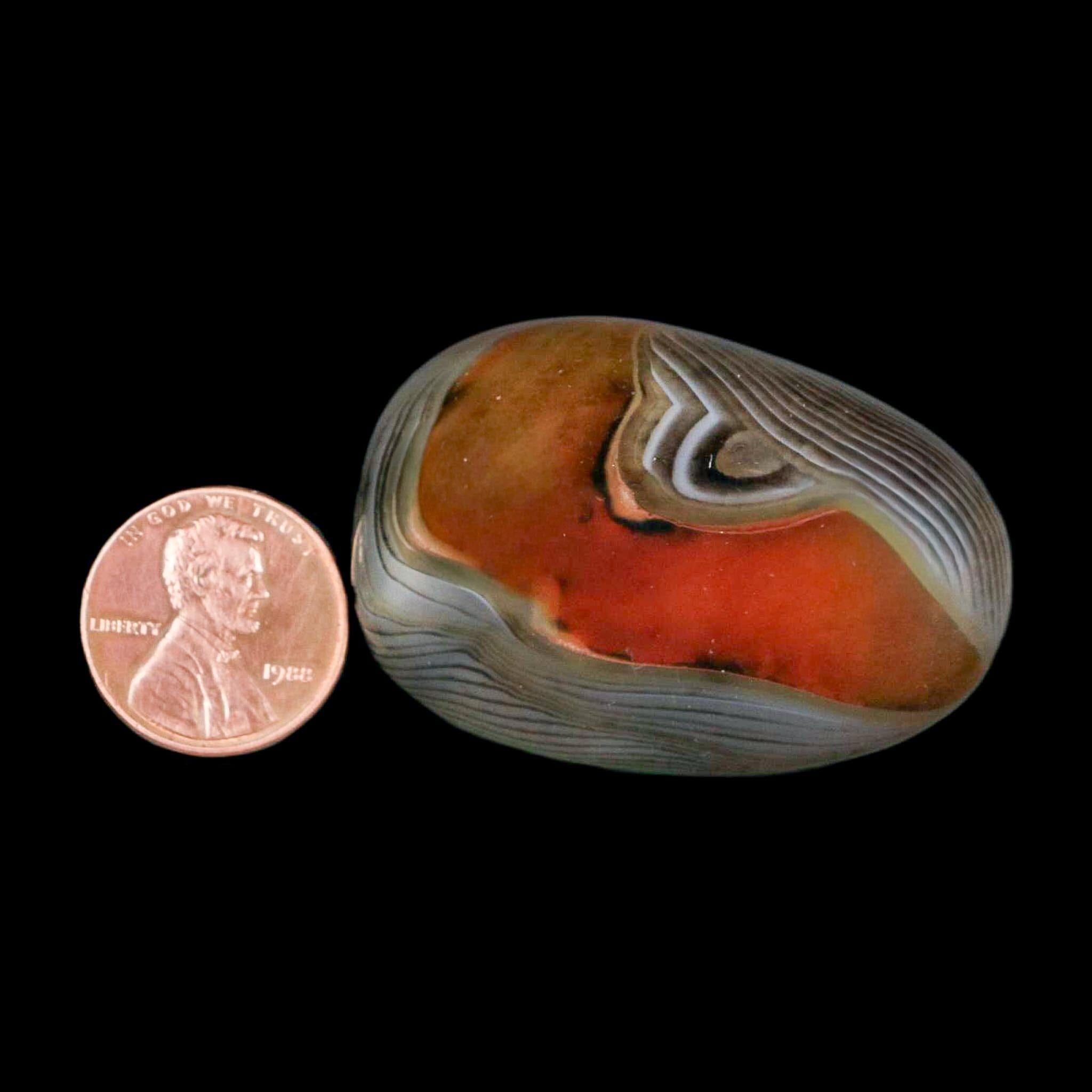 1.8" Natural Polished Red Silk Banded Agate Chalcedony Mineral Specimen - Fossil Age Minerals