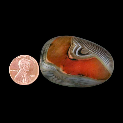 1.8" Natural Polished Red Silk Banded Agate Chalcedony Mineral Specimen - Fossil Age Minerals