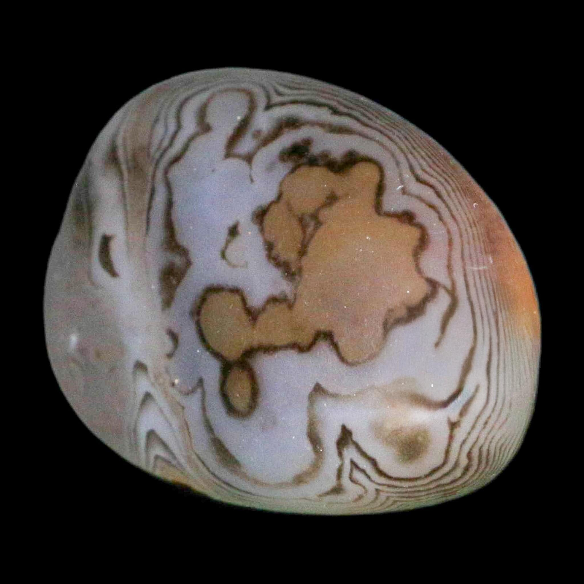 1.8" Natural Polished Red Silk Banded Agate Chalcedony Mineral Specimen - Fossil Age Minerals