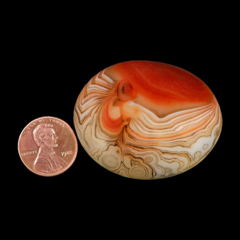 1.8" Natural Polished Red Silk Banded Agate Chalcedony Mineral Specimen - Fossil Age Minerals