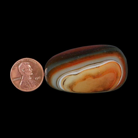 1.8" Natural Polished Red Silk Banded Agate Chalcedony Mineral Specimen - Fossil Age Minerals